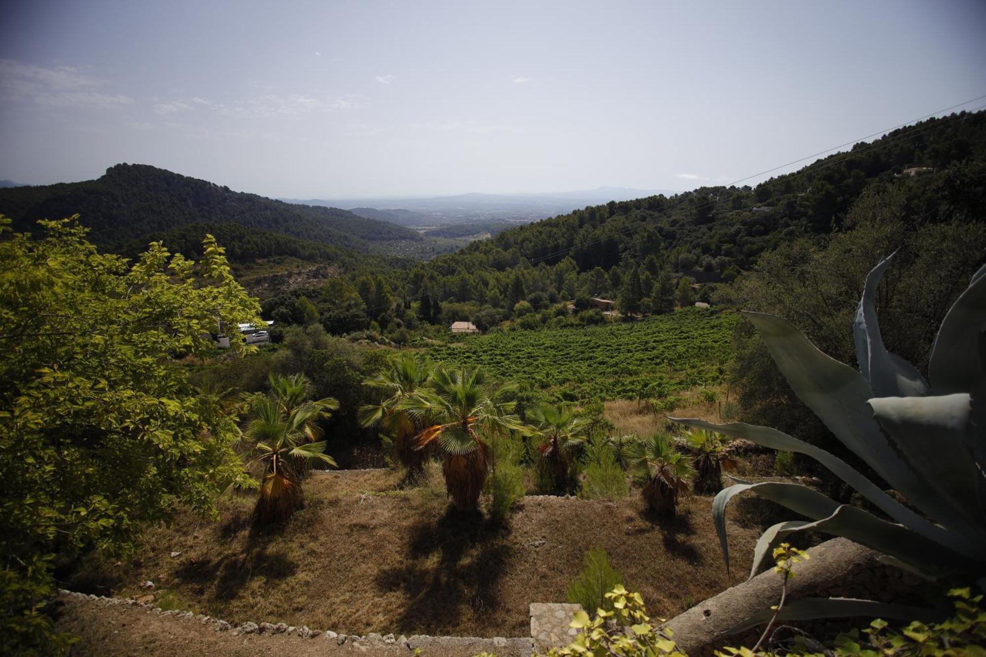 Posada Del Marques Esporles Εξωτερικό φωτογραφία